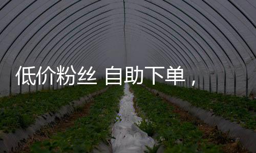 低价粉丝 自助下单 ,全民k歌刷粉丝平台低价_qq代刷网平台最稳刷10赞 - 抖音刷转发粉丝平台