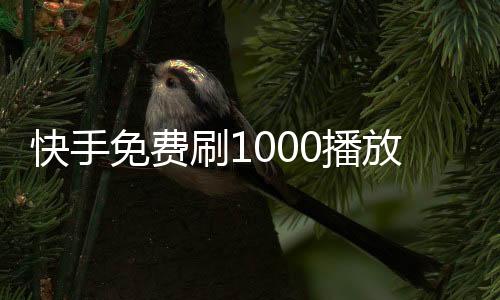 快手免费刷1000播放的网址,抖音刷粉丝在线服务平台_陌离刷赞平台 - 小王刷赞平台