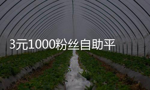 3元1000粉丝自助平台,卡盟刷名片赞免费平台_qq刷赞平台王者荣耀刷人气免费 - qq刷赞平台最低价格